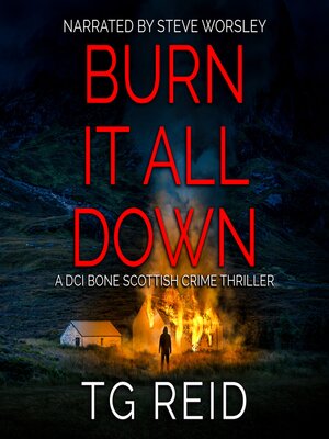 cover image of Burn it All Down